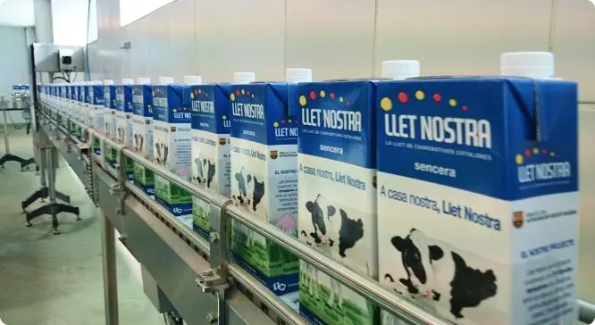 lletnostra-lider-2011