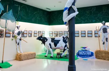 vaca-volataire-3