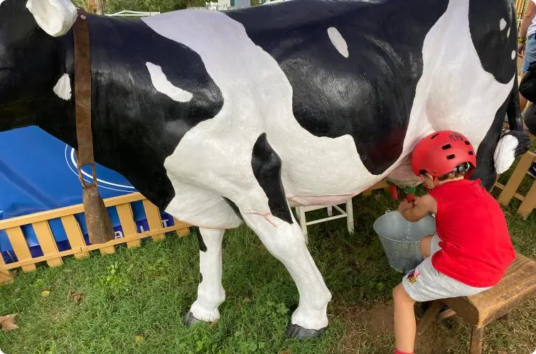 vaca-voltaire-1